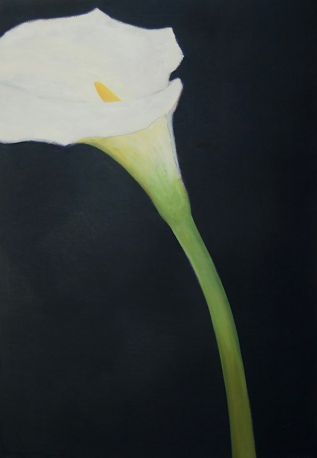 CallaOnBlack60x42-2016