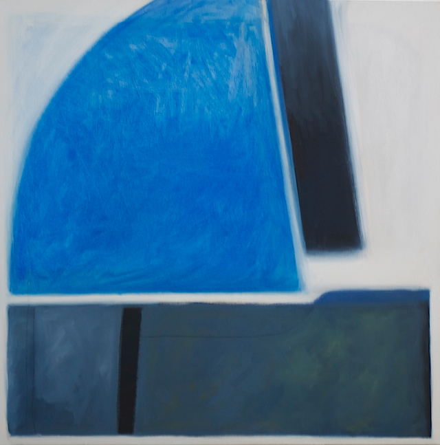 BlueSection30x30-2012