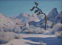 WinterWashSOFT12x16 copy