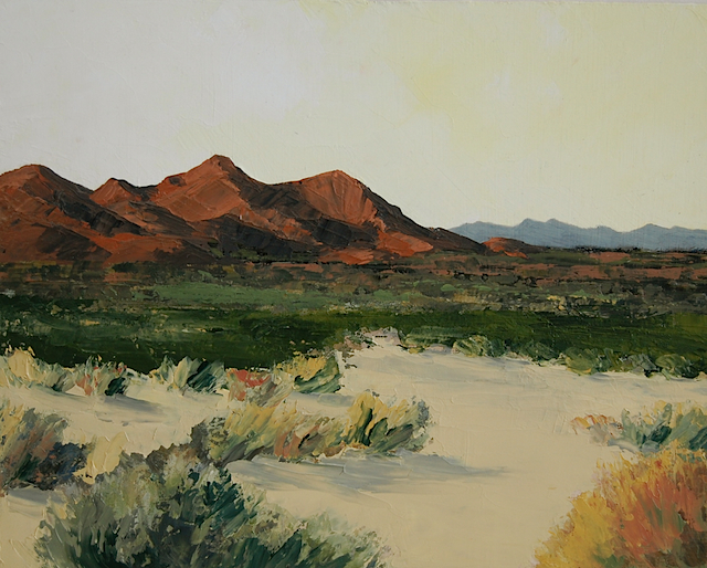 MojaveSpring10x8