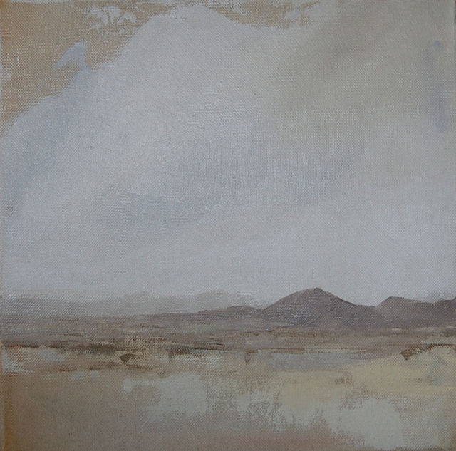 MojaveWinter8x8-2010