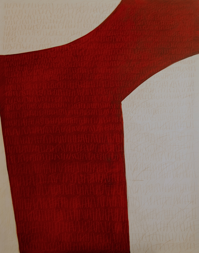 Declaration84x66-2013