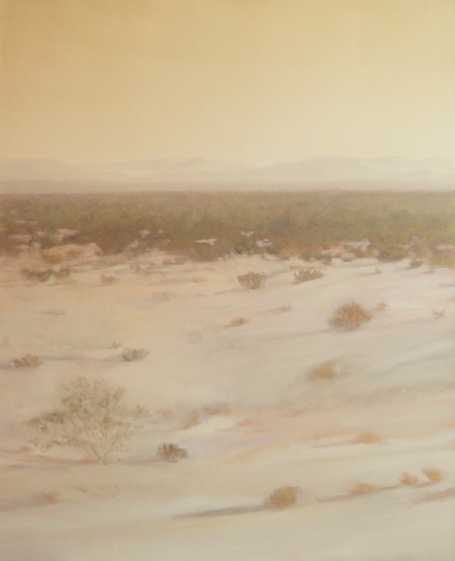 MyDesert54x44-2015