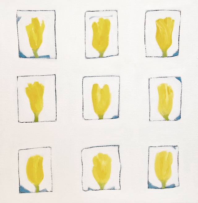 9YellowTulips12x12-2017